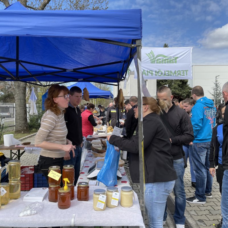 Tama termelői piac 21